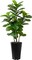 Artificial Fiddle Leaf Fig Tree 5FT - Faux Fig Tree with Black Diamond Planter - Tall Fake Floor Plant Potted - Artificial Silk Tree for Home Office Living Room Decor Indoor